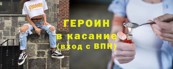 гидра Михайловка